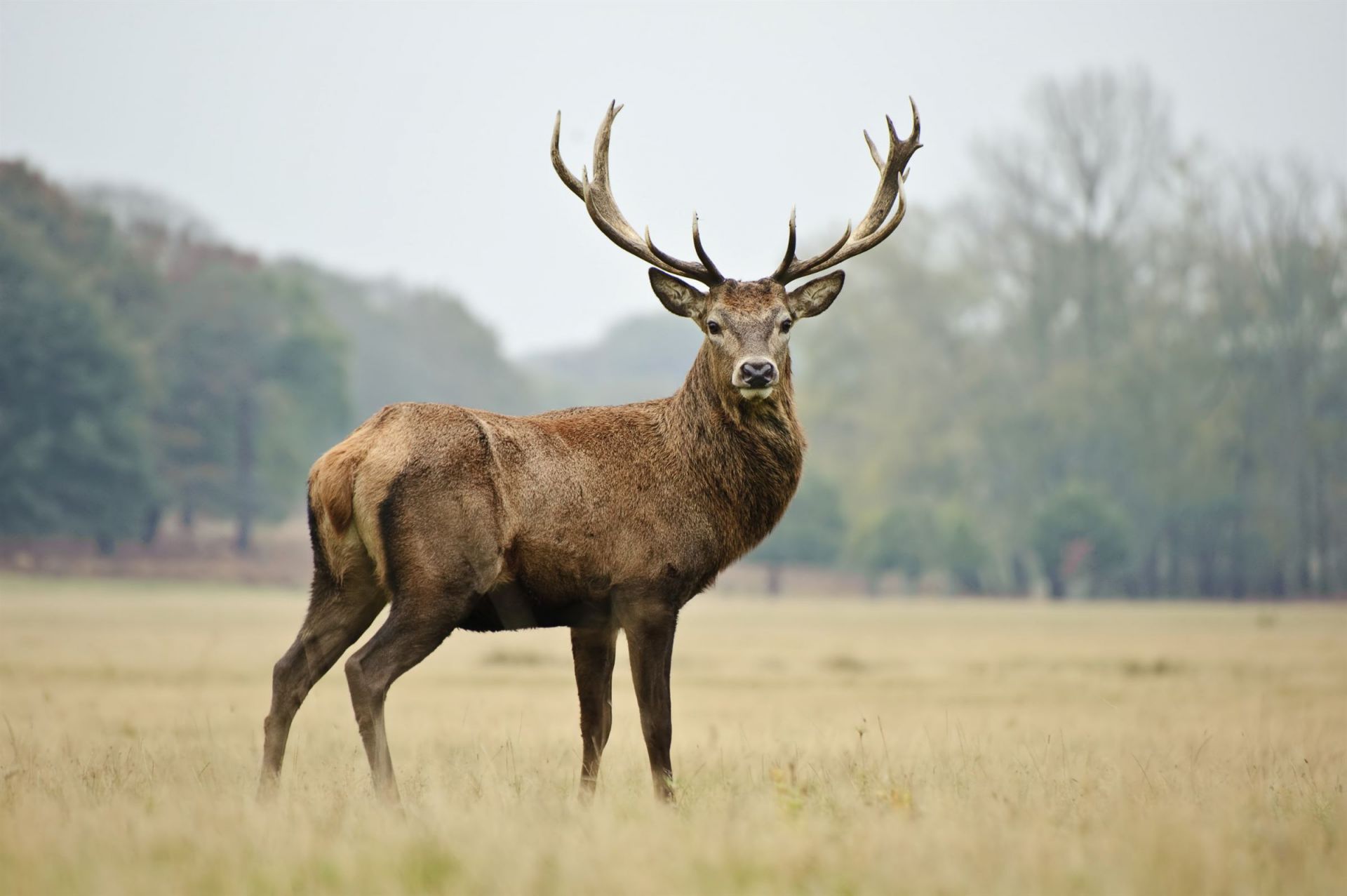 Nature et Randonnées