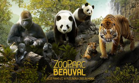 Zoo de Beauval